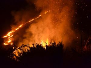 Emergenza incendi estivi: Fns, inadeguata la proposta di convenzione della Regione Puglia per il 2016
