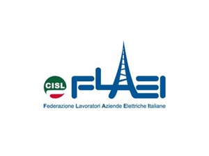 FlaeiLogo