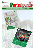 copertina0626
